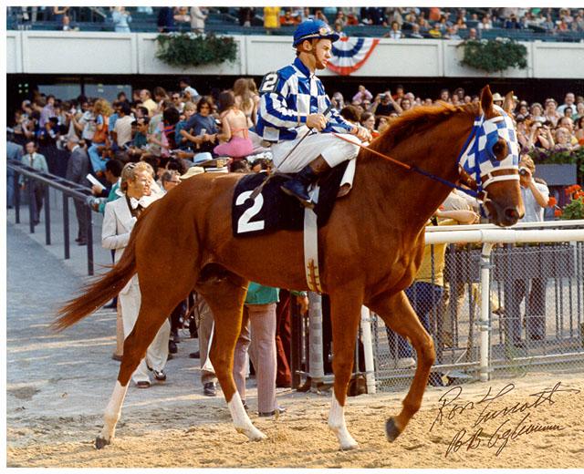 Jockey Ron Turcotte aboard "Big Red." Uploaded by best-horse-photos.com.